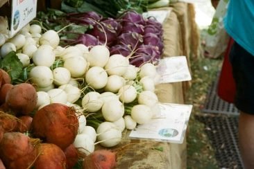 pexels-sashmere-8684569 Vegetales frescos